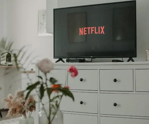 Apartament Gallery 3